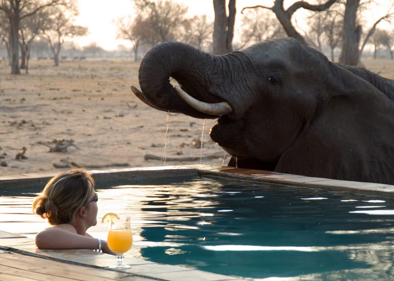 Hwange National Park – Zimbabwe A World of Wonders