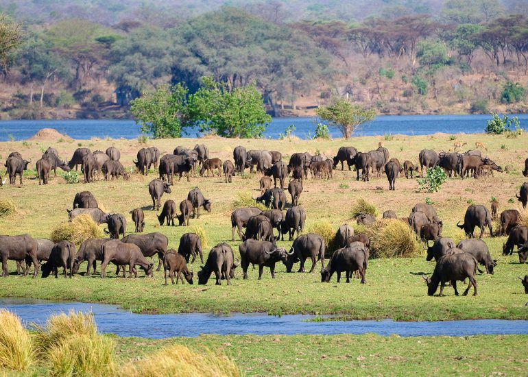 Mana Pools National Park – Zimbabwe A World of Wonders